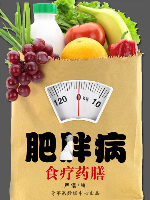 Title details for 肥胖病食疗药膳 by 严锴 - Available